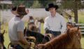 dr dolittle 3-avi_576.jpg